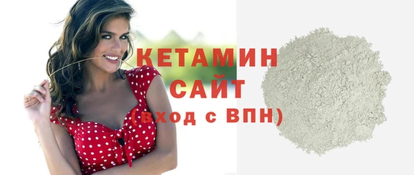 СК Новодвинск
