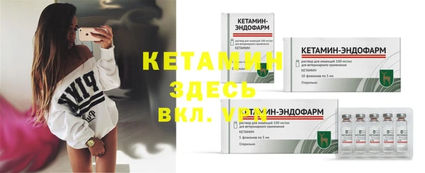 СК Новодвинск