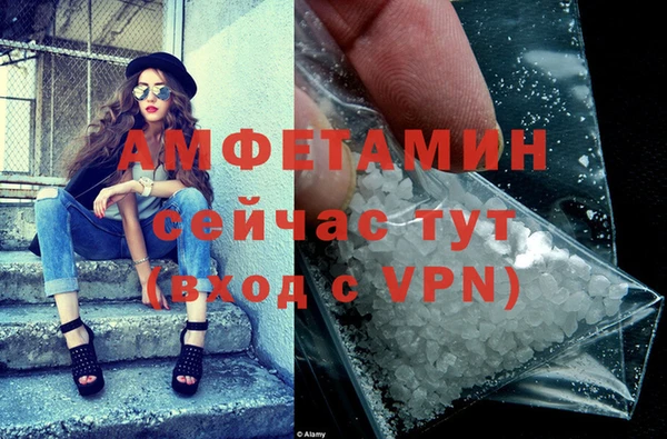 СК Новодвинск
