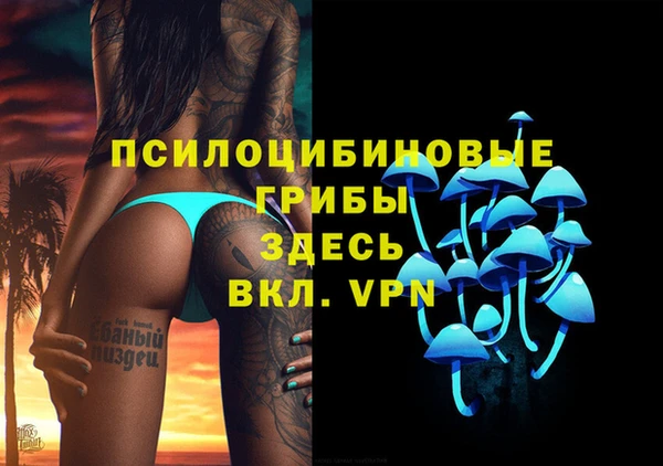 ГАЛЛЮЦИНОГЕННЫЕ ГРИБЫ Новокубанск
