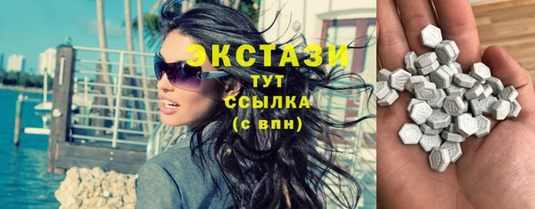 СК Новодвинск