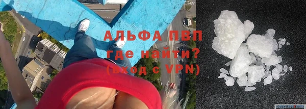 СК Новодвинск