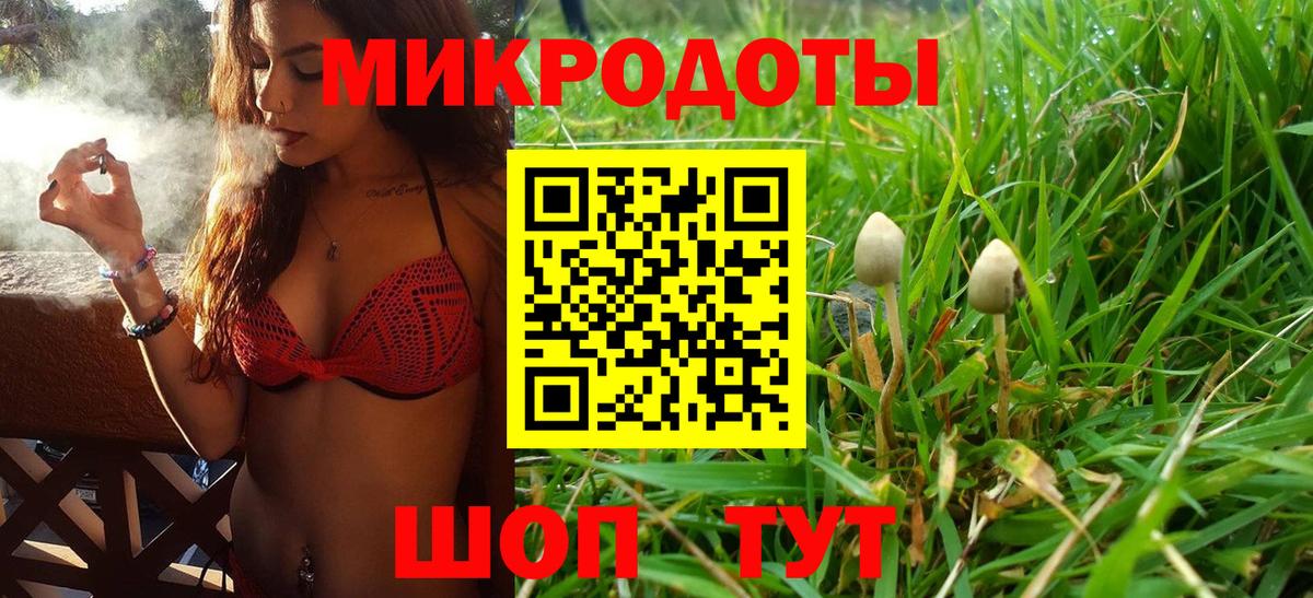 купить наркотики сайты  Кохма  Псилоцибиновые грибы Magic Shrooms 