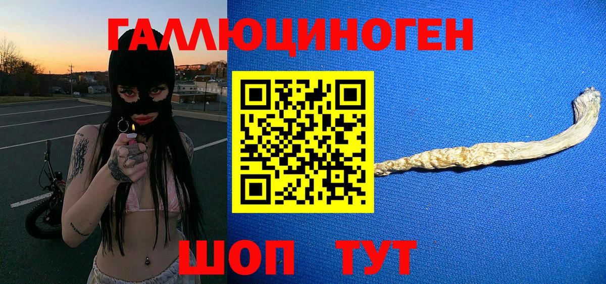 Псилоцибиновые грибы MAGIC MUSHROOMS  Вход с VPN  Кохма 