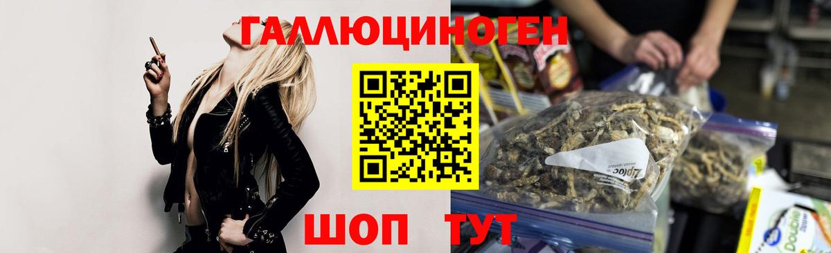 Псилоцибиновые грибы GOLDEN TEACHER Кохма